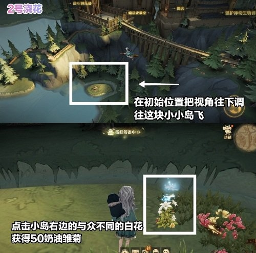 哈利波特魔法觉醒浇花彩蛋位置2