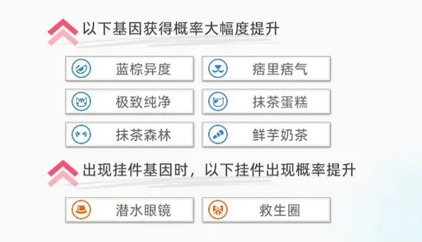 猫之城海湾救援图片3