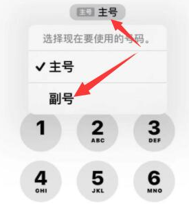 iphone14pro副卡打电话怎么使用(iphone13怎么用副卡打电话)