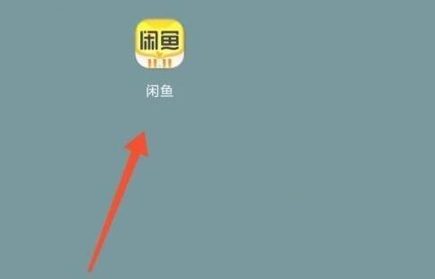 闲鱼在哪里查看闲鱼公约(闲鱼公约是什么)